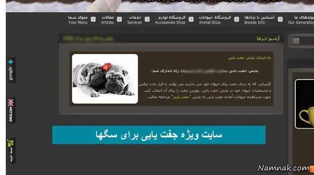  سگ بازی در تهران