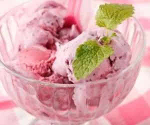 طرز تهیه بستنی خانگی