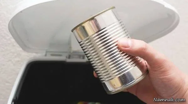 تله حشرات خانگی