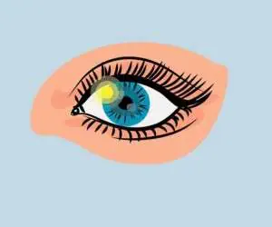 اعضای پنهان بدن