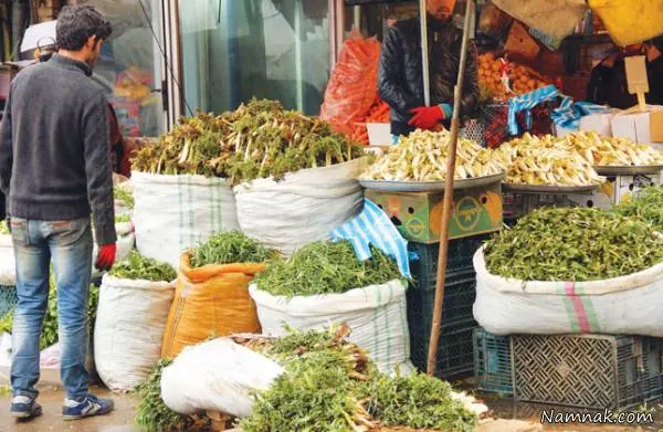 گیاهان دارویی