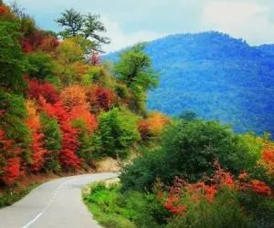 جاذبه های گردشگری سوادکوه
