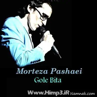 مرتضی پاشایی