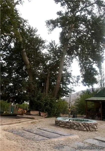 امام زاده تنهایی لیلا