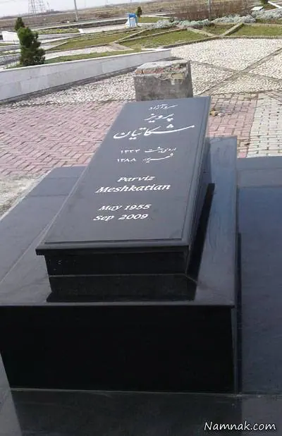 پرویز مشکاتیان