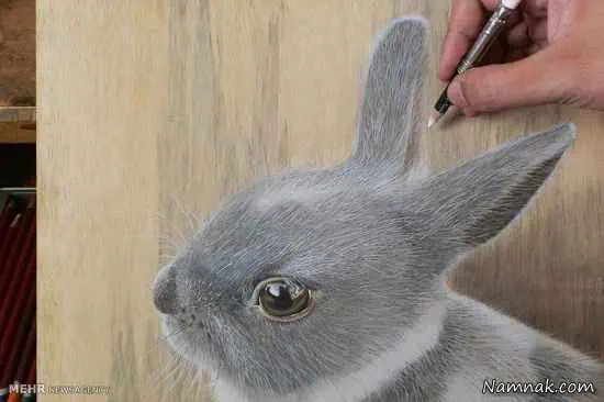 طراحی بسیار طبیعی
