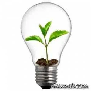 فضای سبز