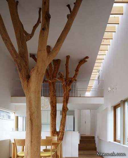 درخت داخل خانه
