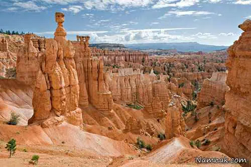 هودو در آمریکا