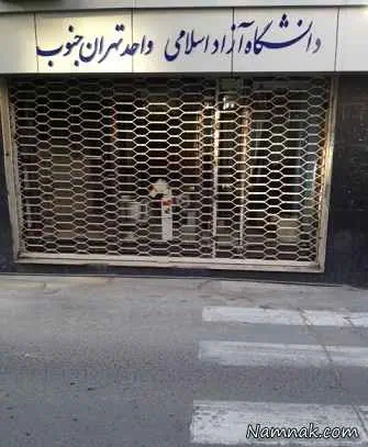 دانشگاه ازاد