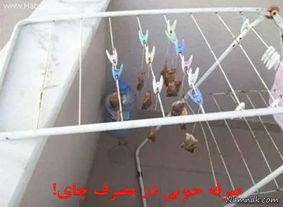 خوابگاه دانشجویی
