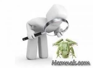 کشف قورباغه یک سانتیمتری