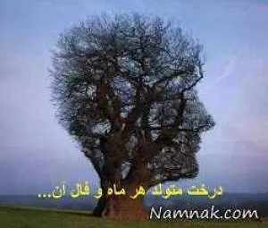 فال درخت
