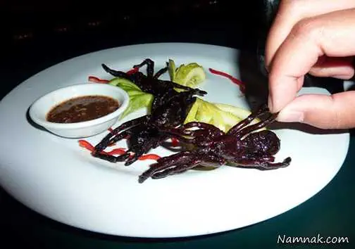 چندش آورترین غذا