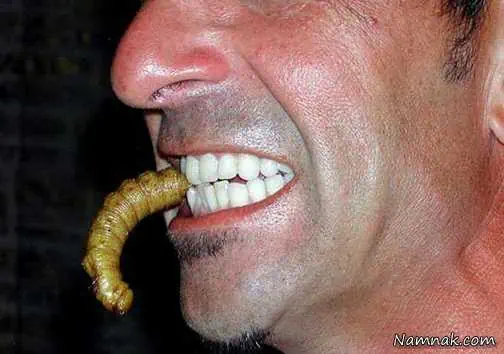 چندش آورترین غذا