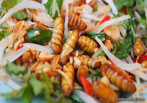چندش آورترین غذا