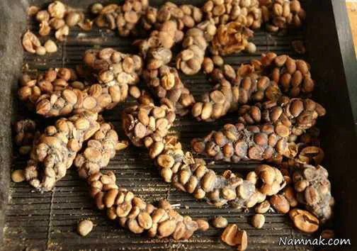 چندش آورترین غذا