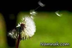 داستان