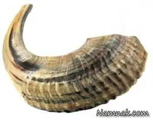 ریشه ضرب المثل 