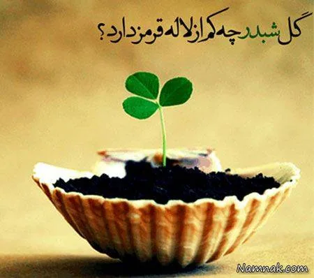 اس ام اس فلسفی