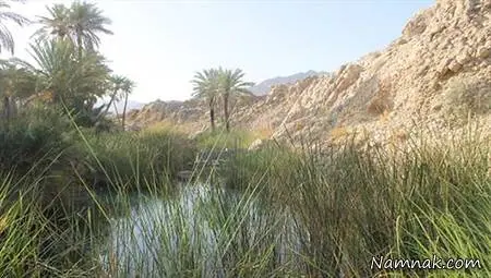 چشمه سبزپوشان
