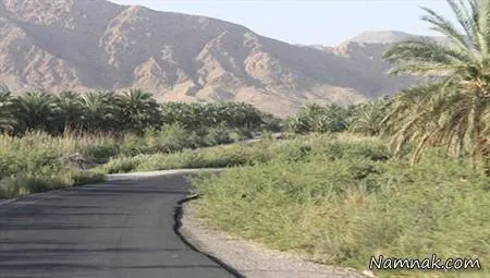 چشمه سبزپوشان