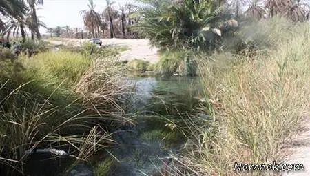 چشمه سبزپوشان