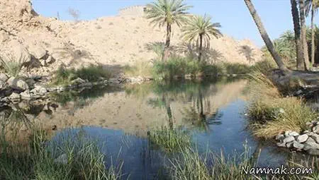 چشمه سبزپوشان
