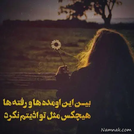 زندگی