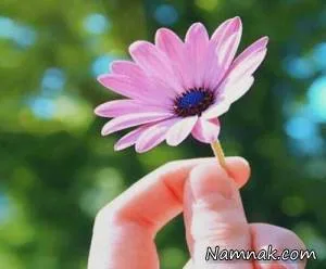 زندگی