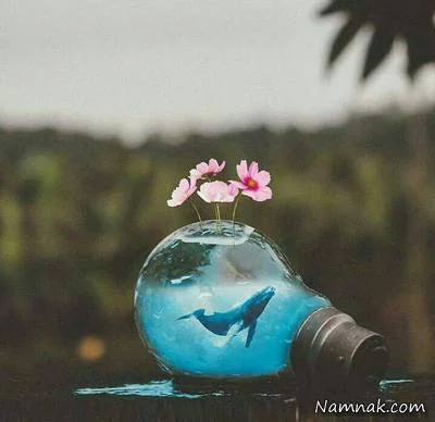 دلنوشته زندگی