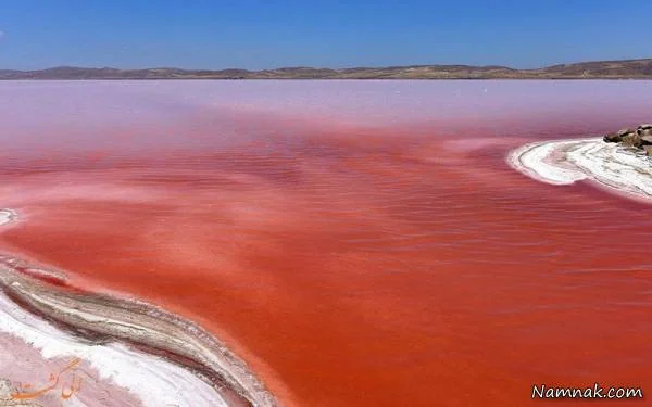 دریای سرخ