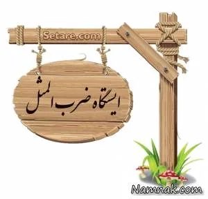 ضرب المثل