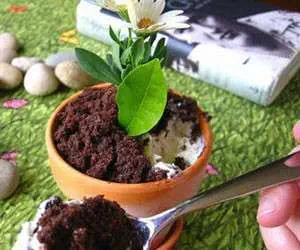 گلدان های در هم