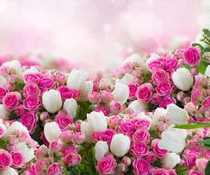خشک کردن گل