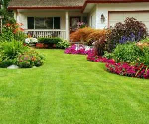 باغچه ای زیبا