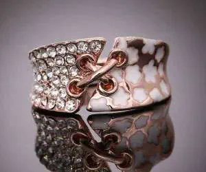 حلقه های شیک