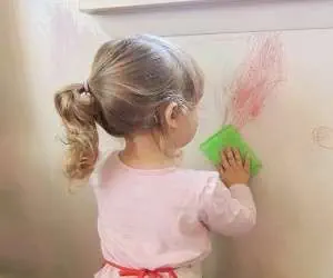 پاک کردن لکه