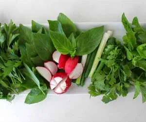 نگهداری سبزی خوردن