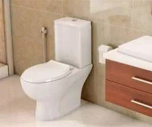 تمیز کننده توالت
