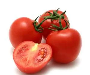نگهداری گوجه فرنگی