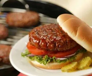 برگر مرغ رژیمی