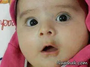 دوقلوها