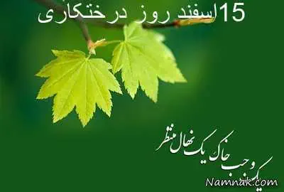 اس ام اس روز درختکاری