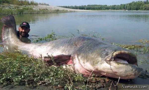ماهیگیران رکورددار