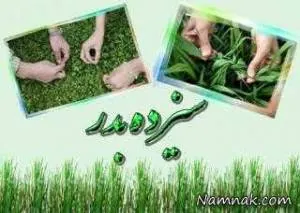 سیزده بدر