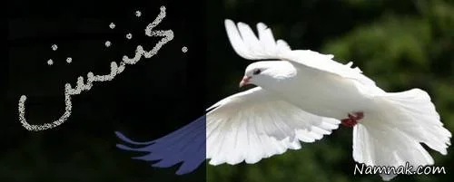 اس ام اس بخشش