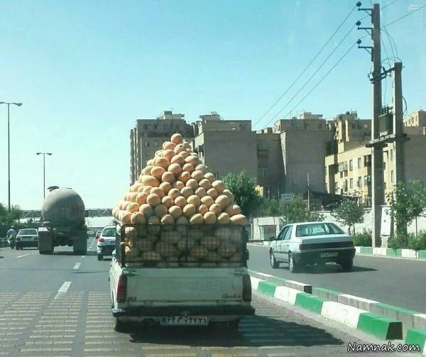 وانت