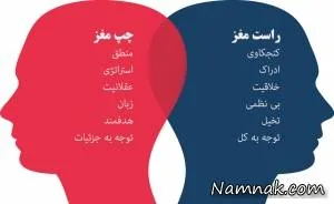 مغز