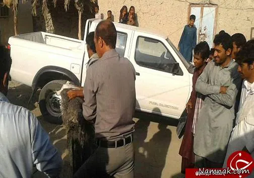میهمان ناخوانده